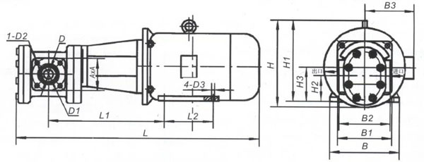 LB系列冷冻机用齿轮油泵2